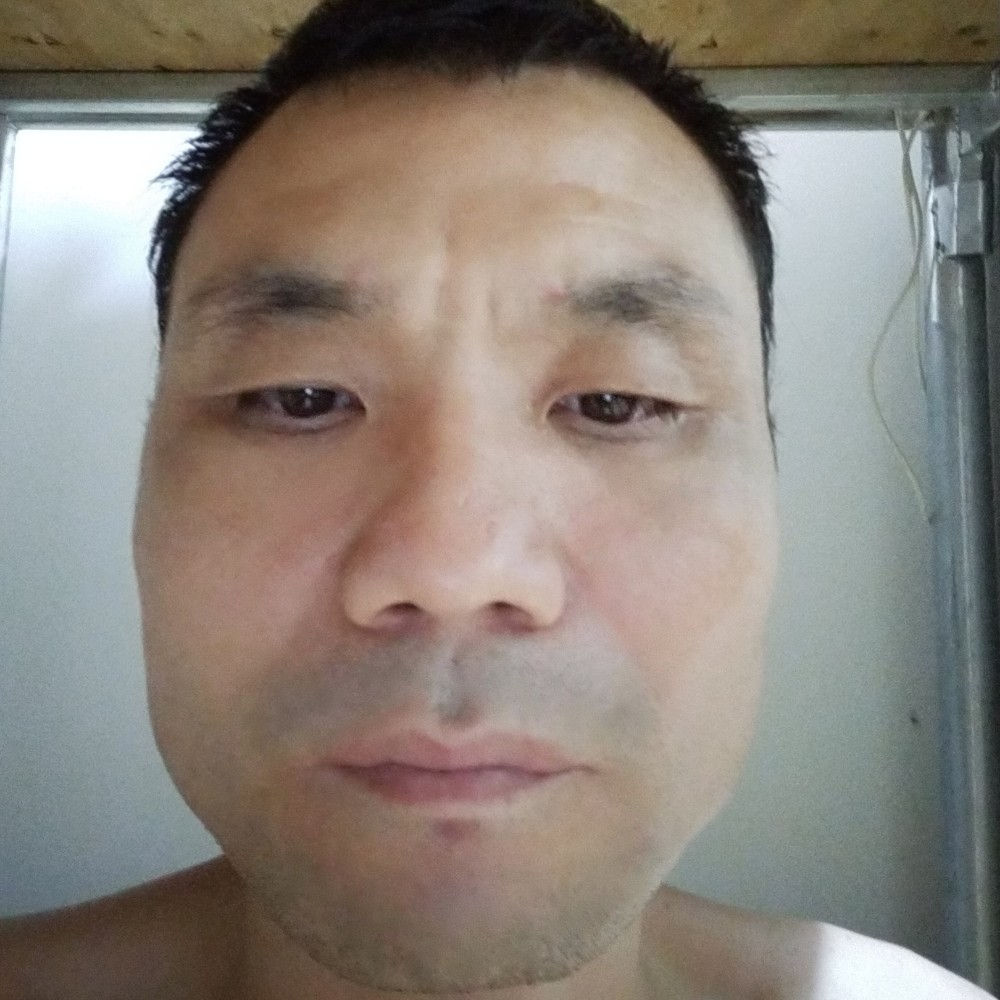 飞鸟漂亮的照片