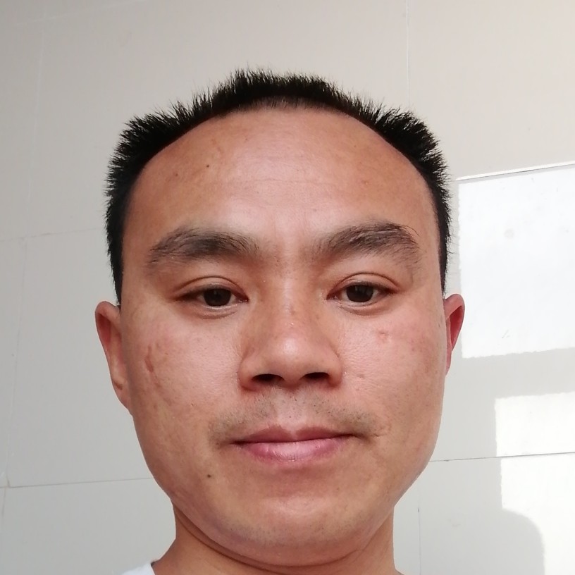 斑马請寂寞的照片