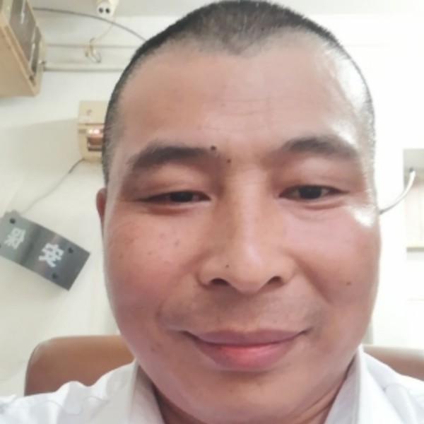 孤独的 雁的照片