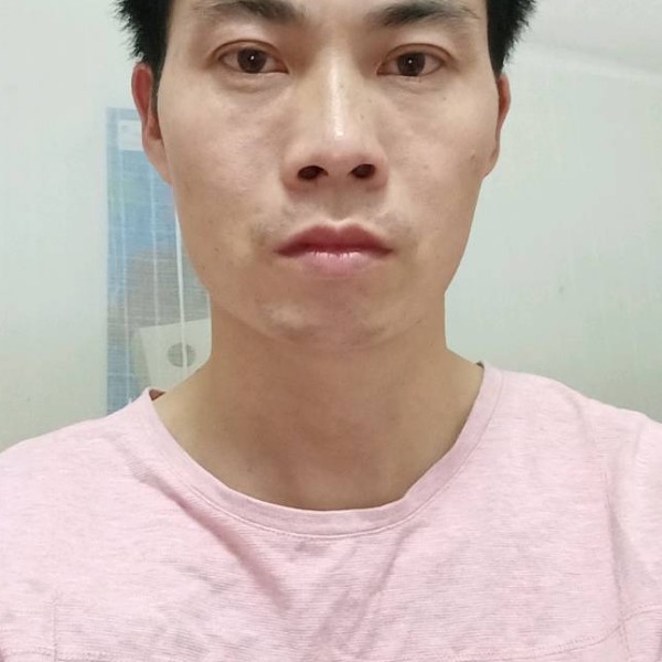 典雅有森槿的照片