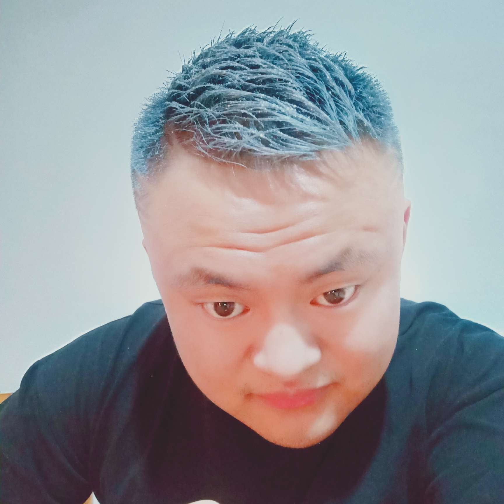 矮小浅吻鸵鸟的照片