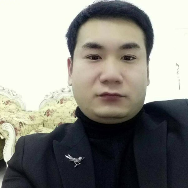 不轻易回头的狼的照片