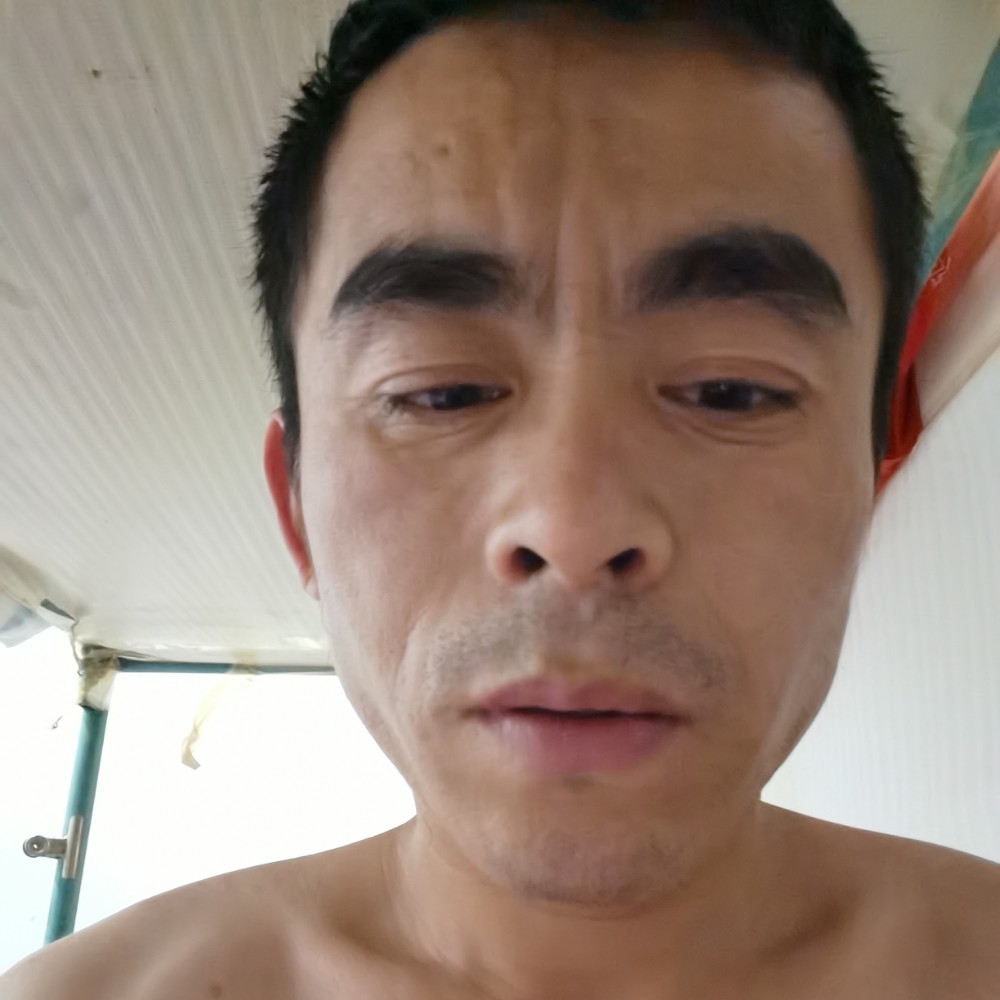 不解的和饼干的照片