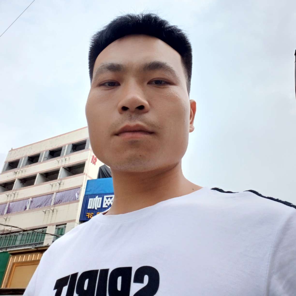 敏感和乐曲的照片