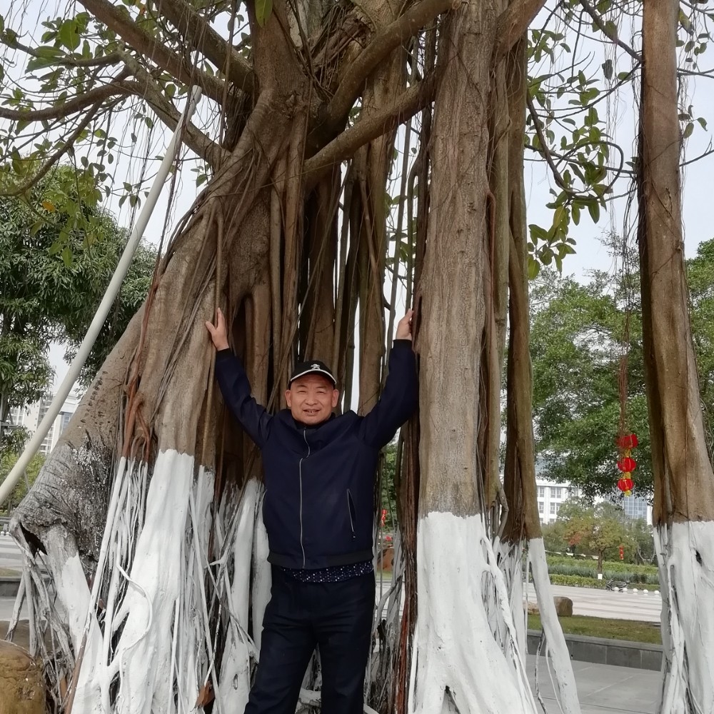 引领创新潮流的照片