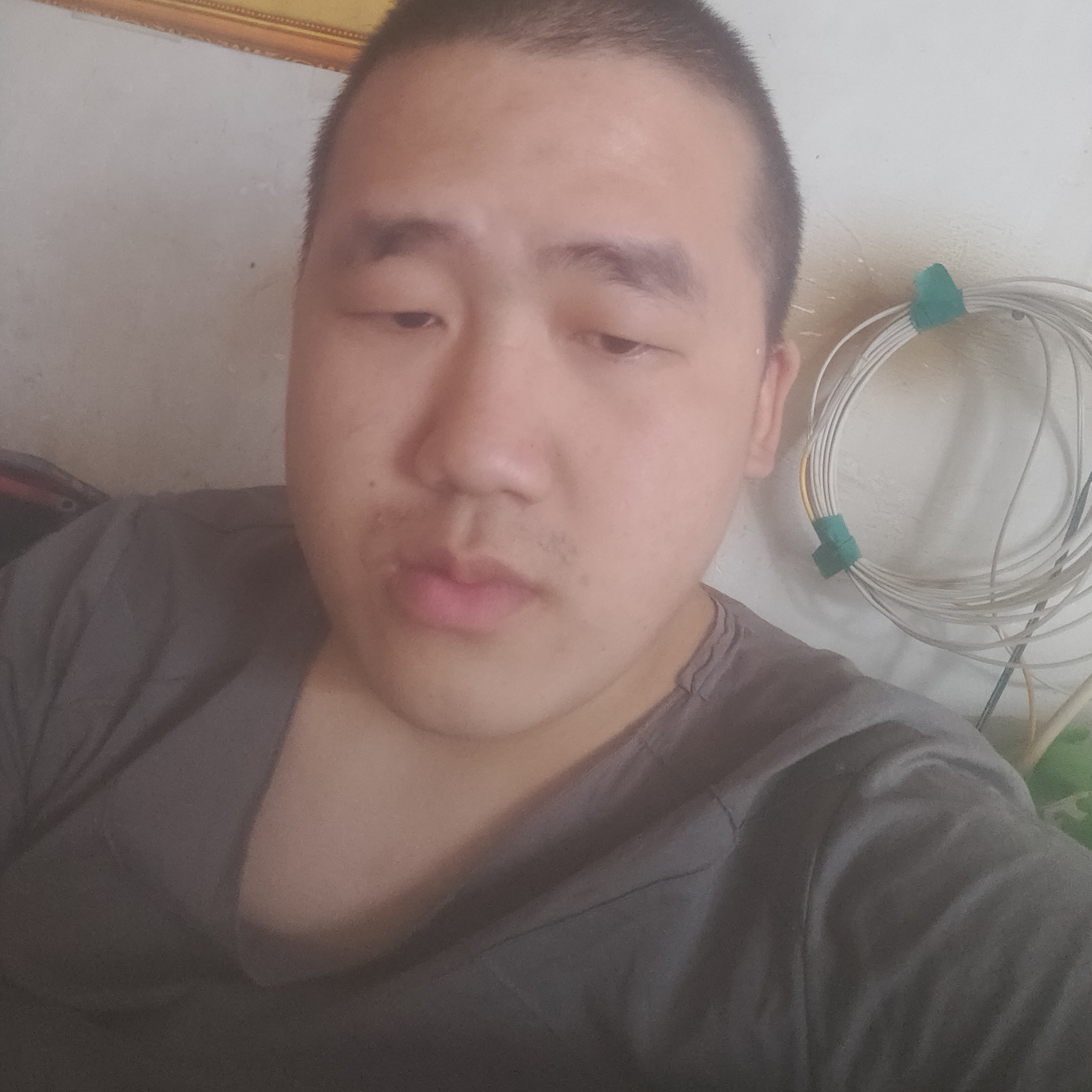 发夹神勇的照片