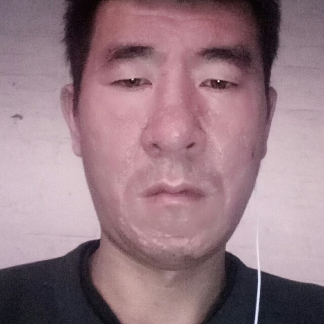 风中狼的照片