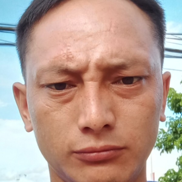 花瓣迅速的照片