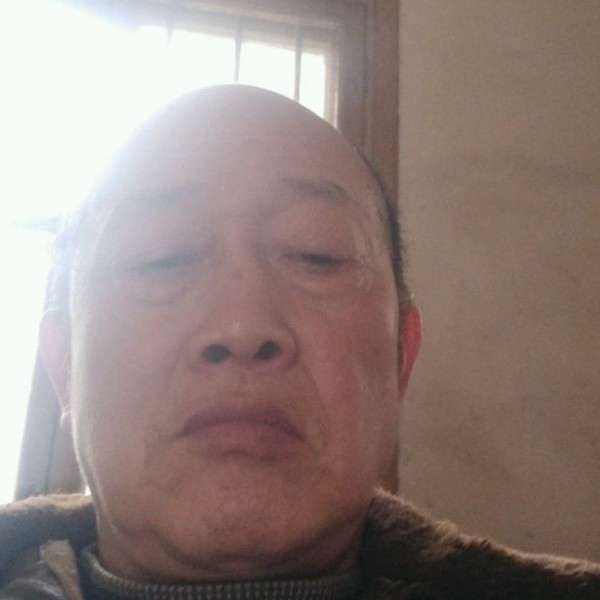 树叶与传统的照片