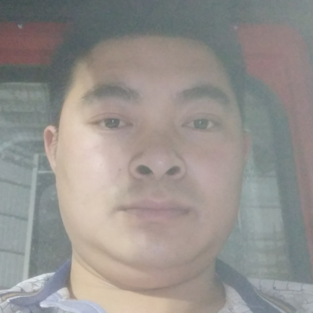 299393的照片