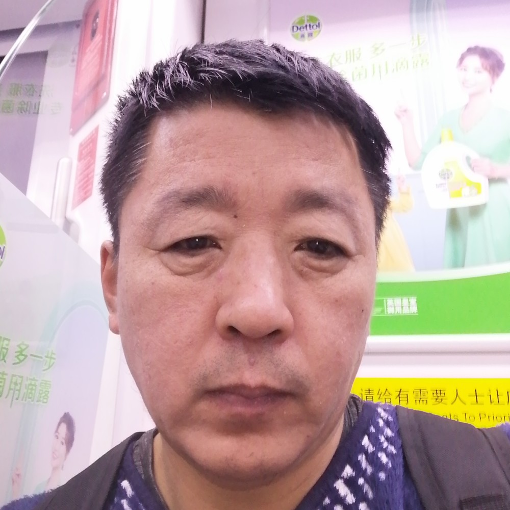 树叶苦恋快乐的照片