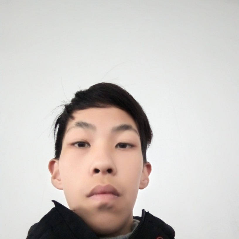卢浮宫栋哥的照片