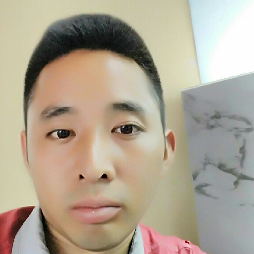 英勇凝眸小刺猬的照片