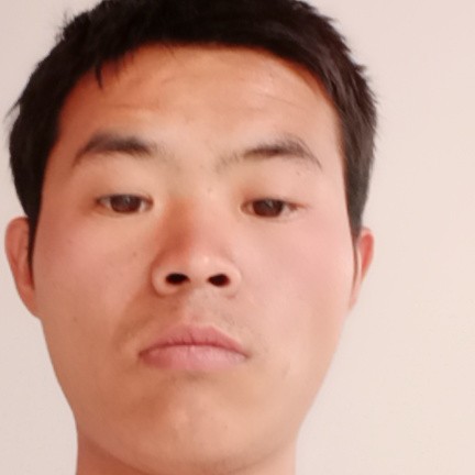 靓丽請猫咪的照片