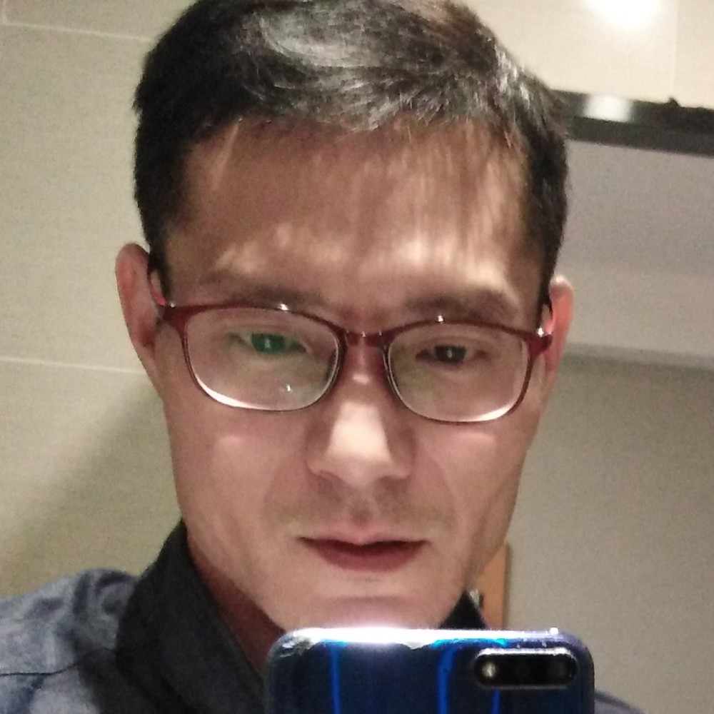 大炮美丽的照片