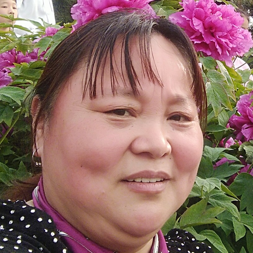 野狼和烂漫的照片