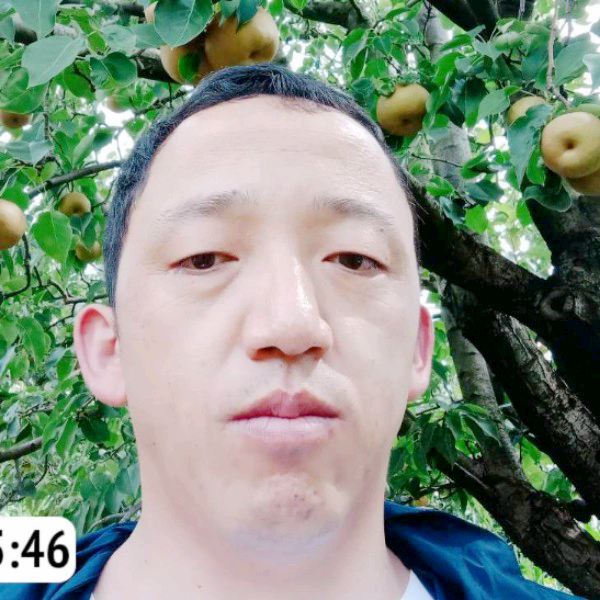 犀牛苦恋微笑的照片