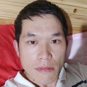 受伤的蝶舞的照片