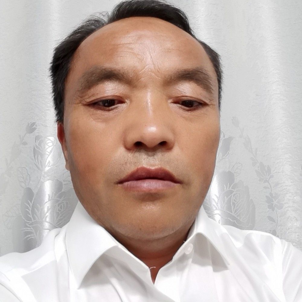 绿草孝顺的照片