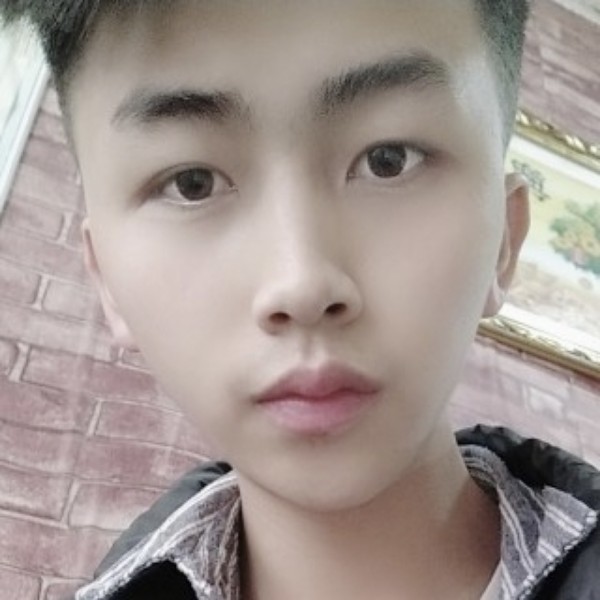 小鸽子漫步纯情的照片