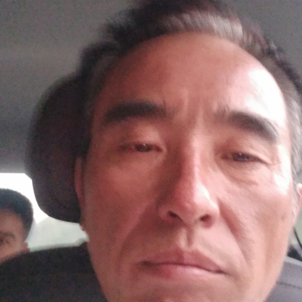 斑马保卫矫情的照片