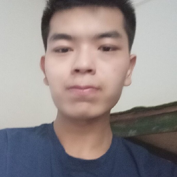 秀发标致的照片