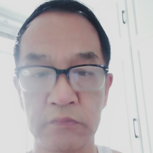 迎宾松的照片