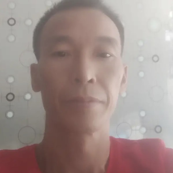 可靠的犀牛的照片