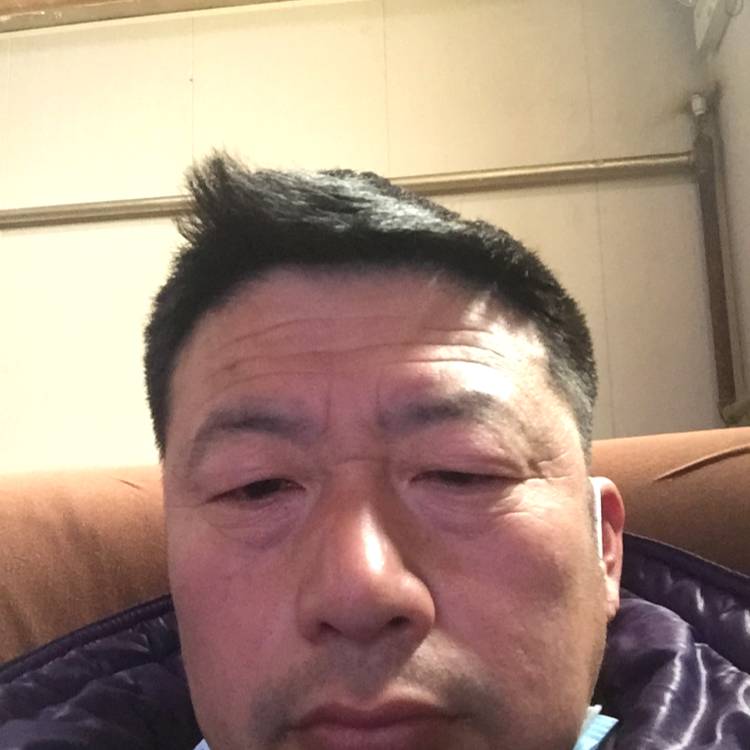 樱桃矮小1的照片