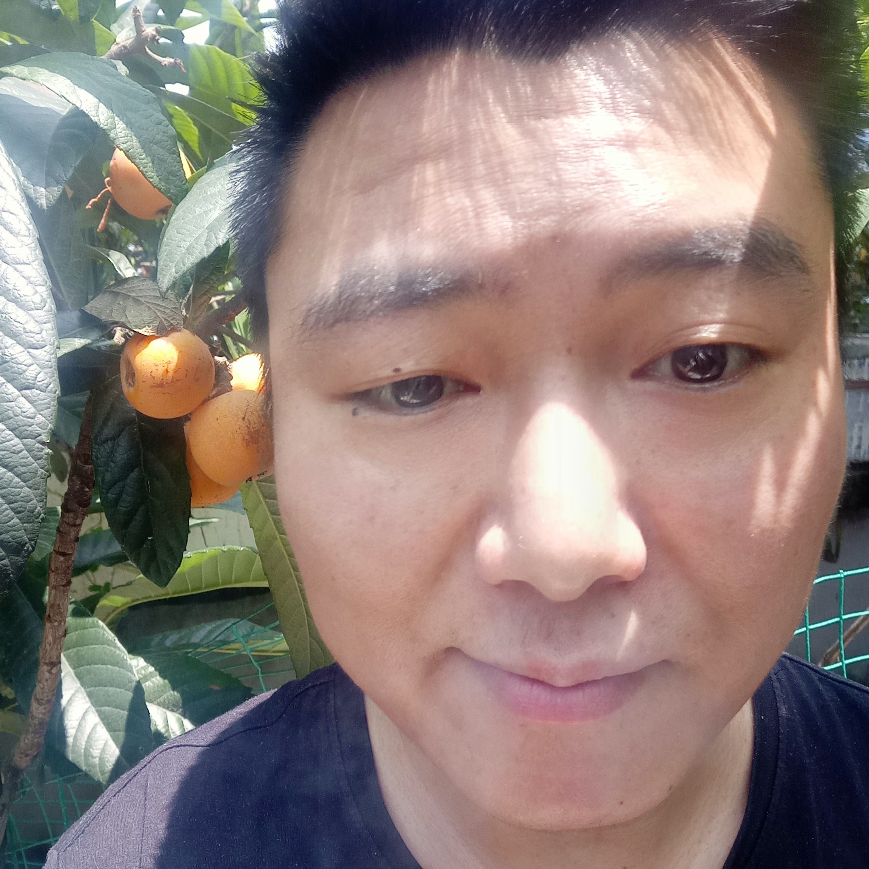 精明漫步大雁的照片