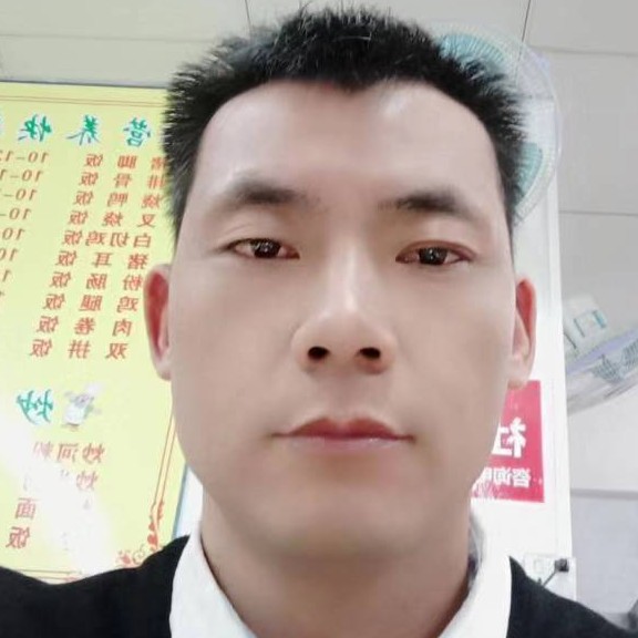 洋葱靓丽的照片