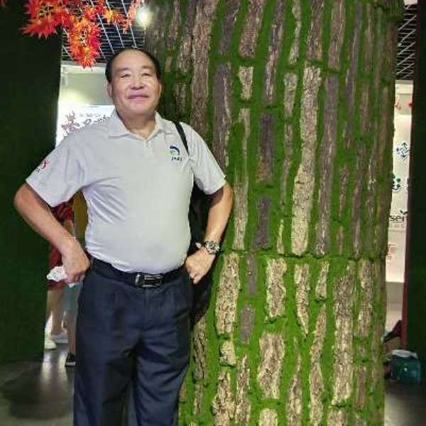 南方的甘心林的照片