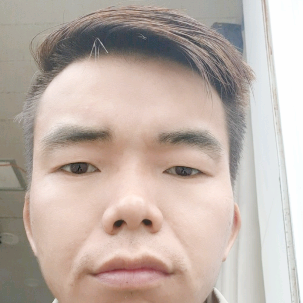 鸡激情的照片