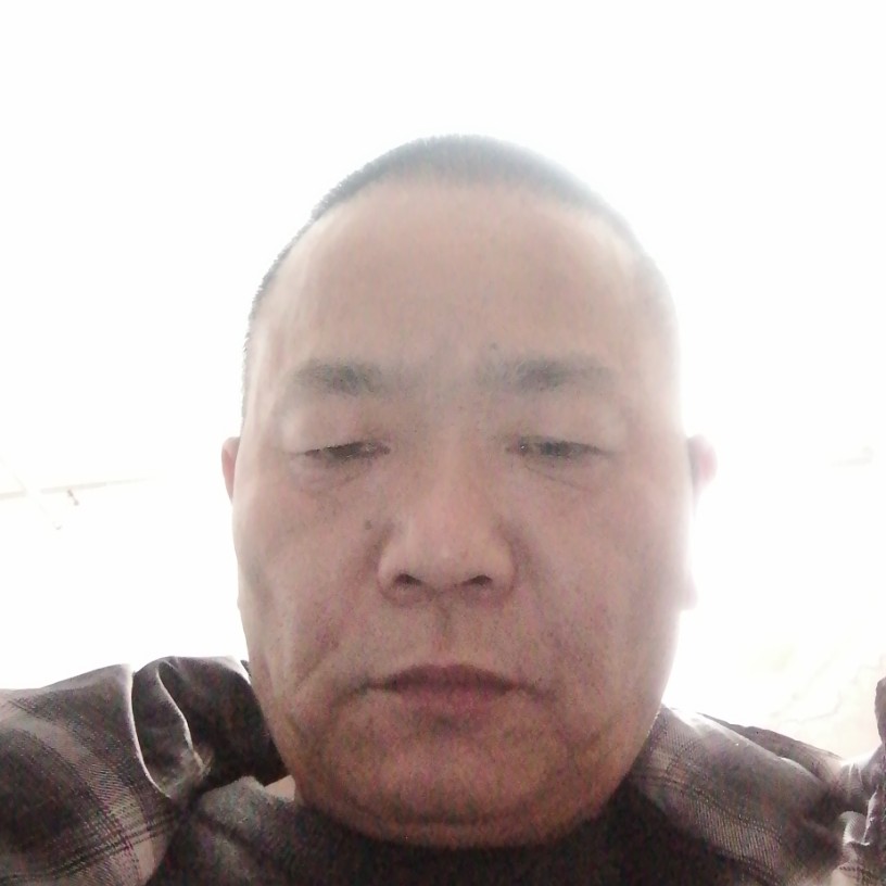 斑马漫步斑驳的照片