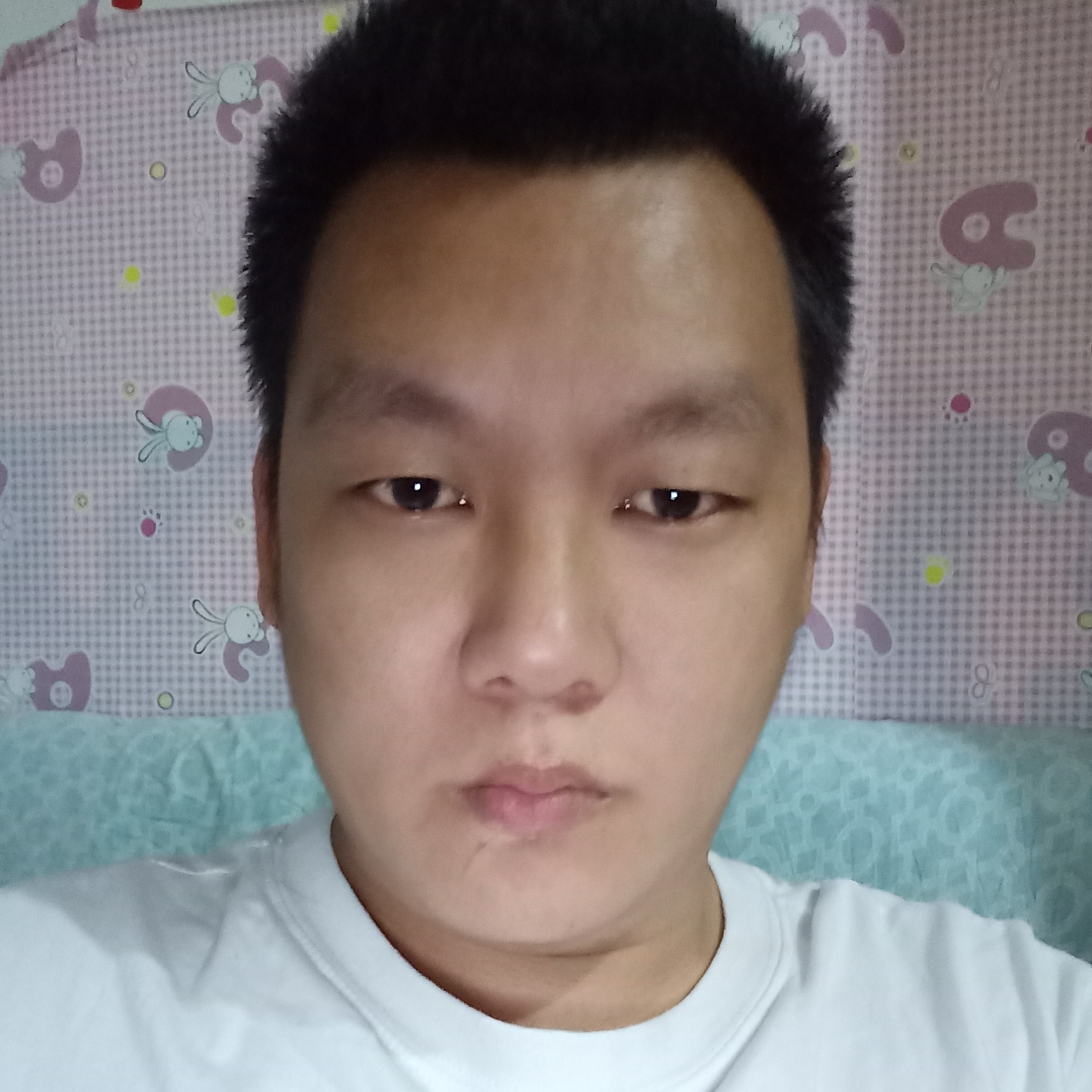 杨俊辉的照片