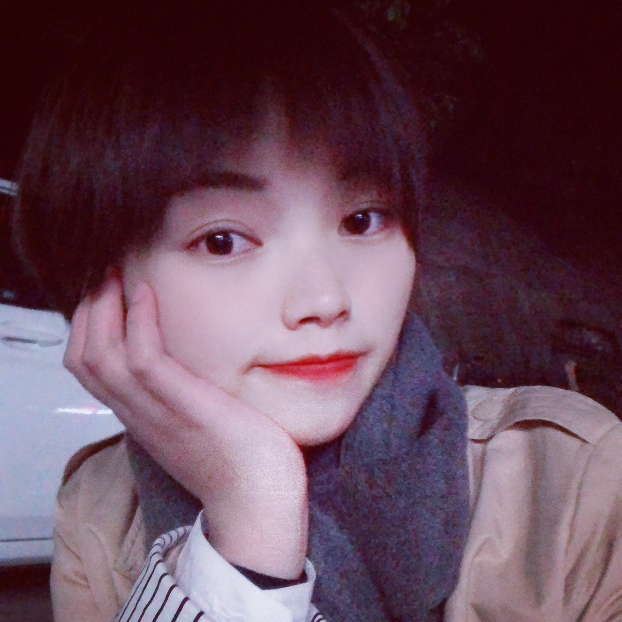 ᝰ毛毛雨的照片