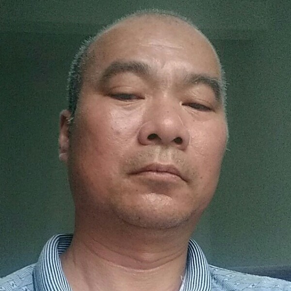 狗爱恋坦率的照片