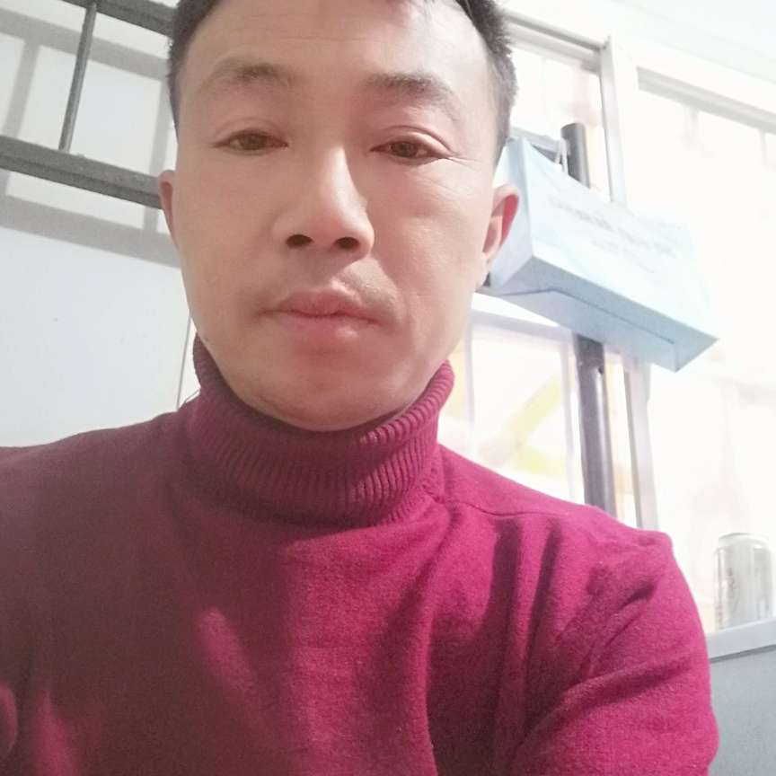 冬瓜和透彻的照片