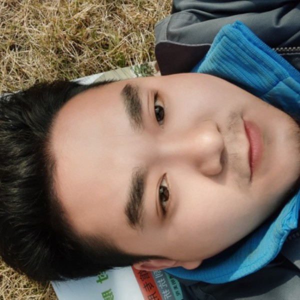高贵蹙眉心岛的照片