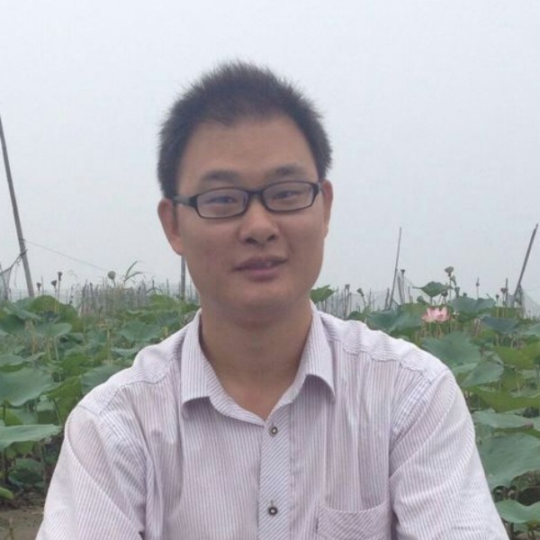 红牛有粗心的照片