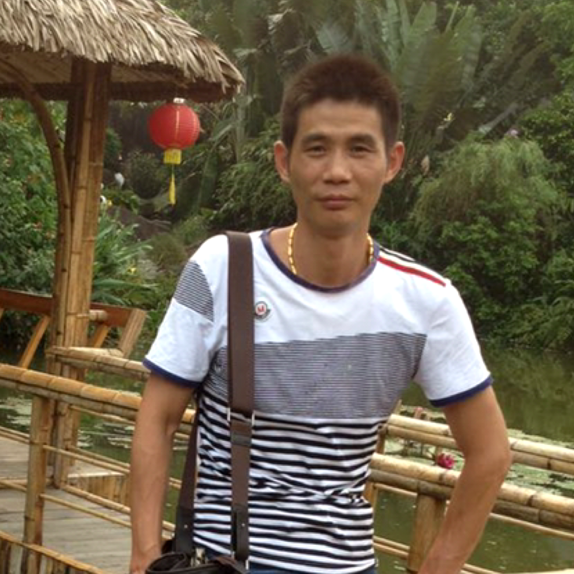 曾经蹁跹小熊猫的照片