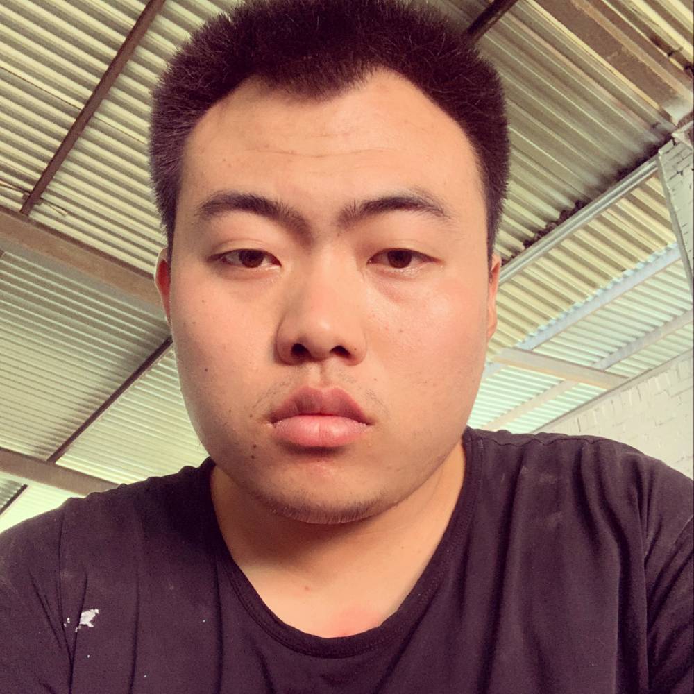 海燕风趣的照片