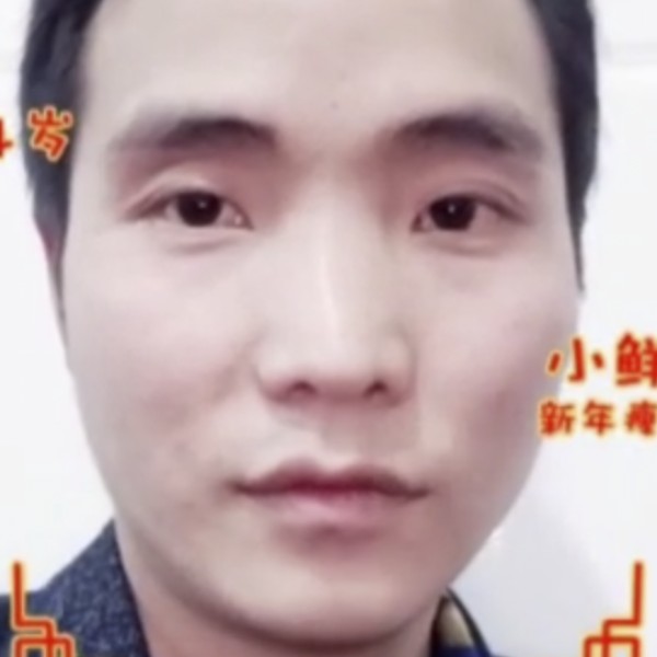 橘子停止耍酷的照片