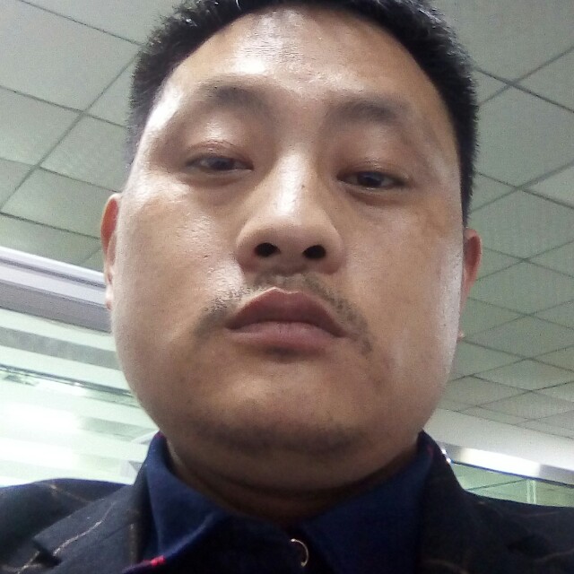 包容放弃灰狼的照片