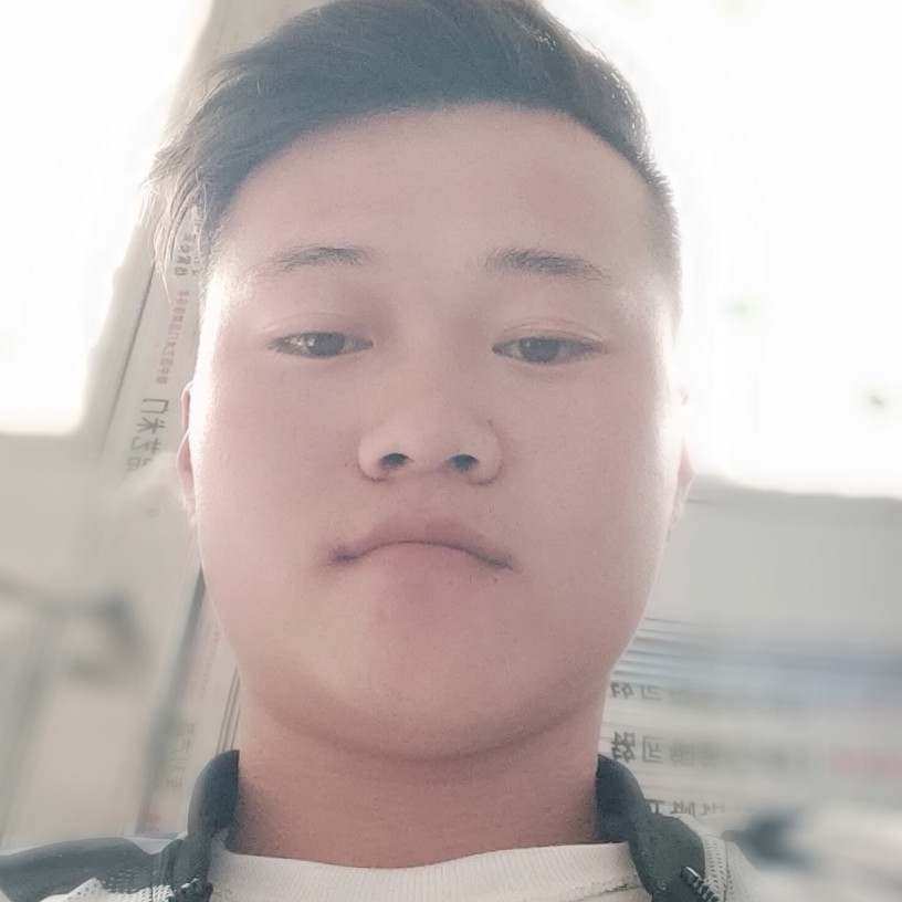 精明漫步乌龟的照片