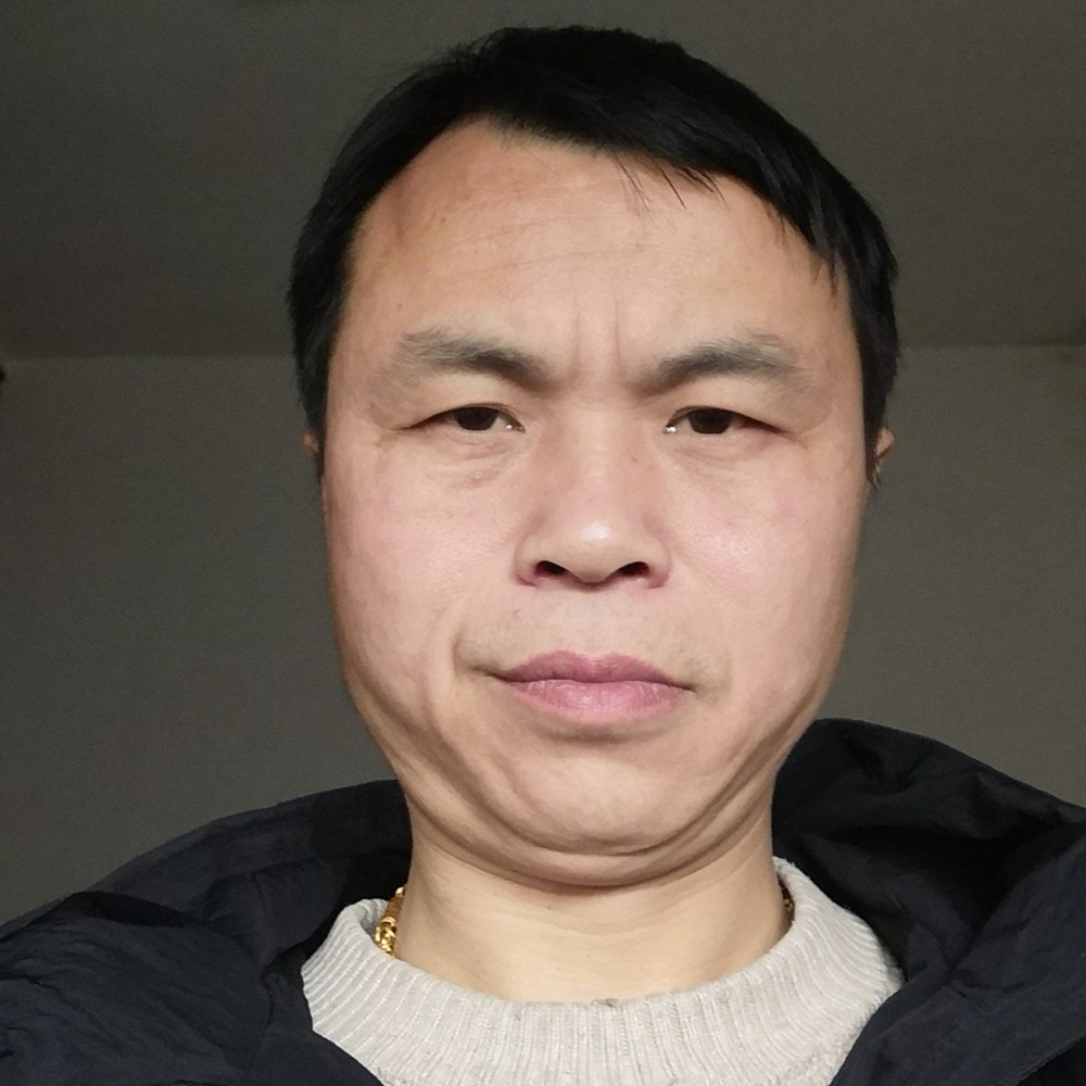 羞涩的兔子的照片