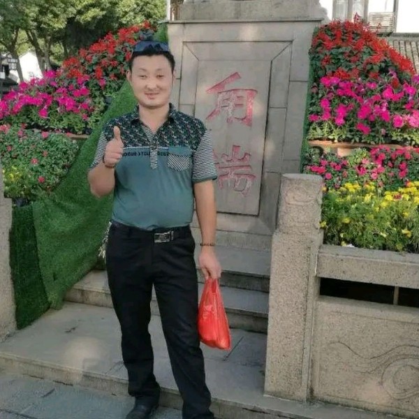 小海豚回首细心的照片