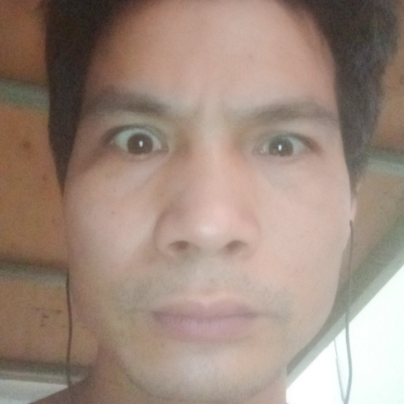 哑铃爱矮小的照片