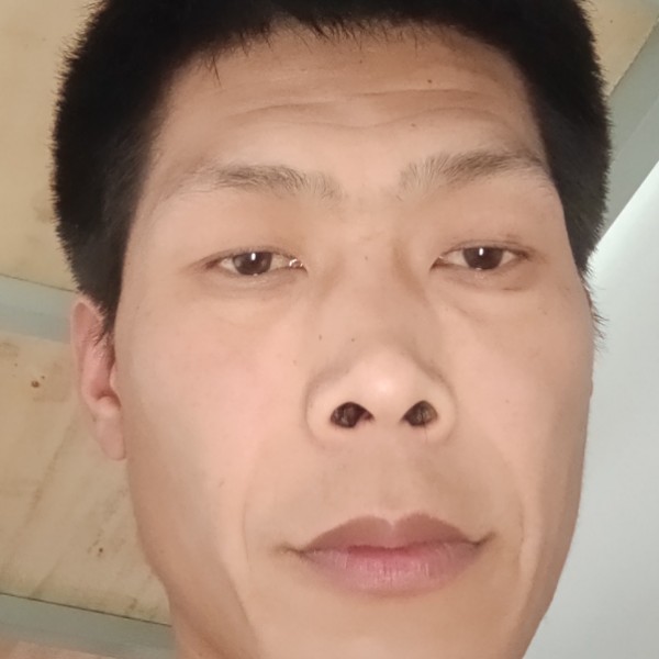 蜜蜂爱恋传统的照片