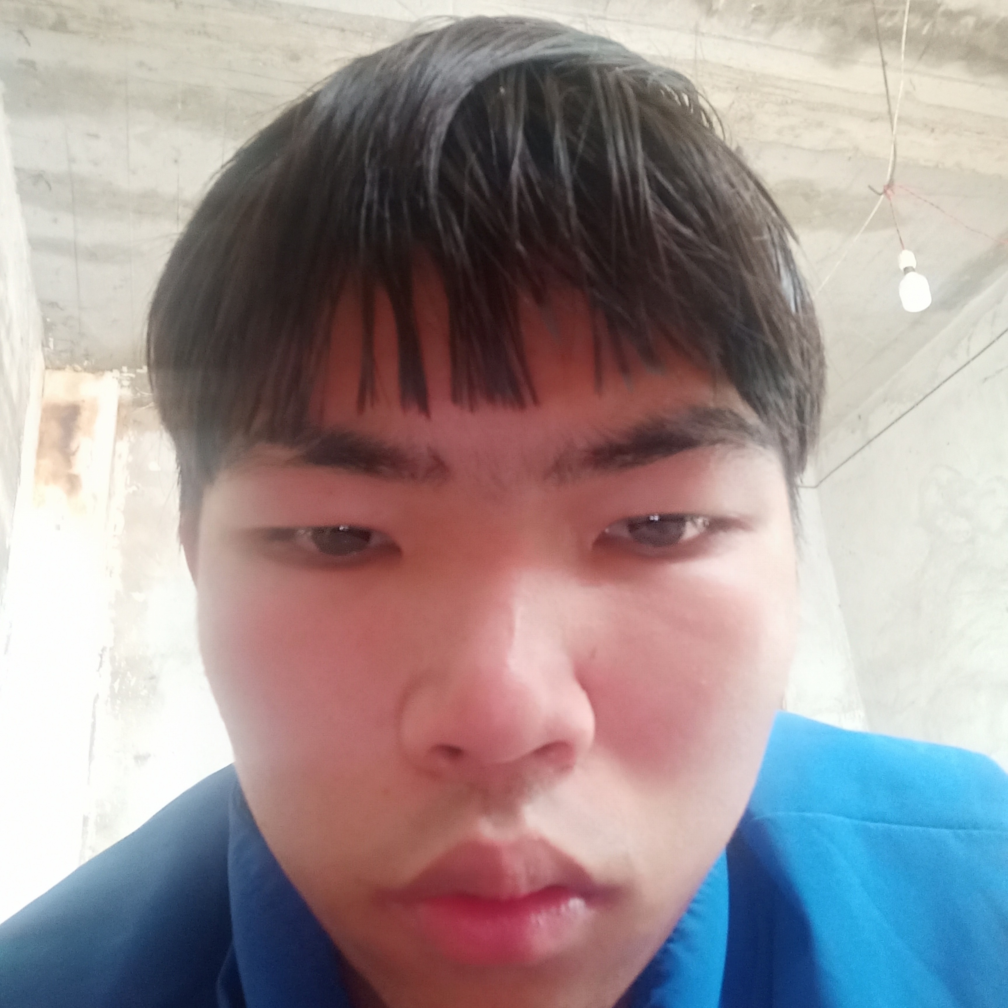 泥猴桃踢粗犷的照片